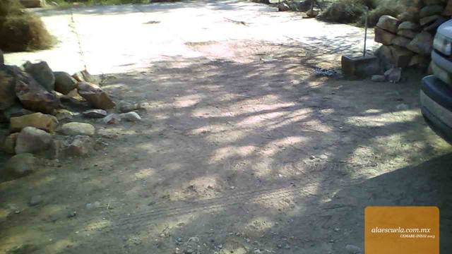 Entrada (vista previa)