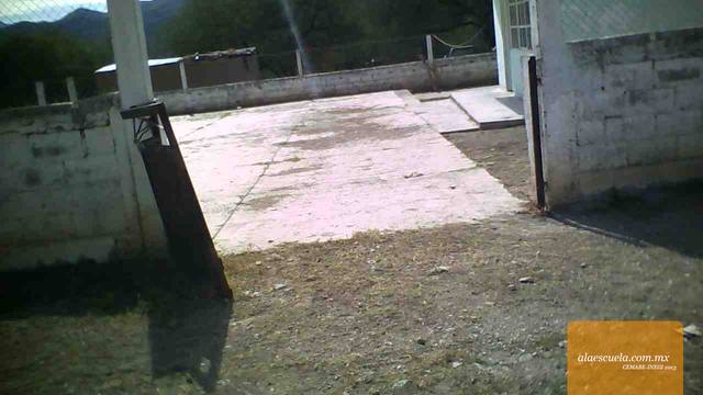 Entrada (vista previa)