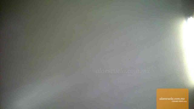 Entrada (vista previa)