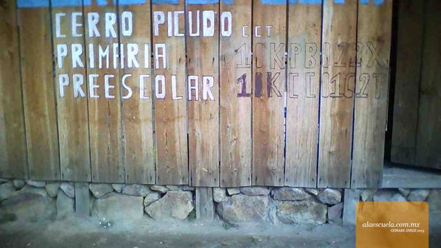 Entrada (vista previa)