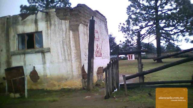 Entrada (vista previa)