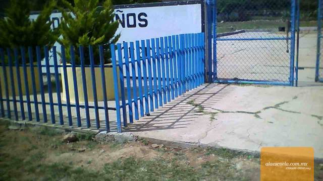 Entrada (vista previa)