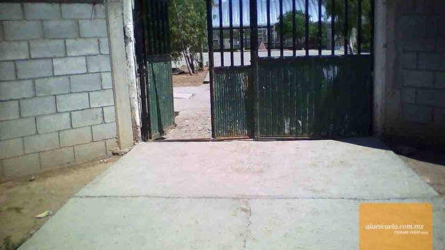 Entrada (vista previa)