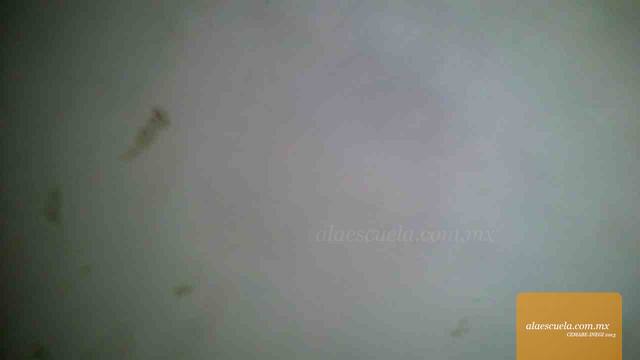 Aulas (vista previa)