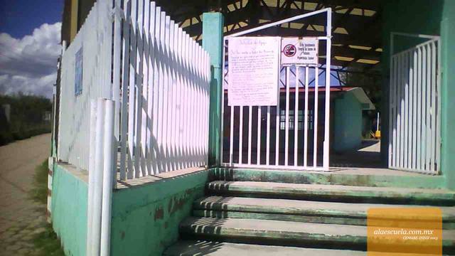 Entrada (vista previa)