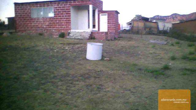 Entrada (vista previa)