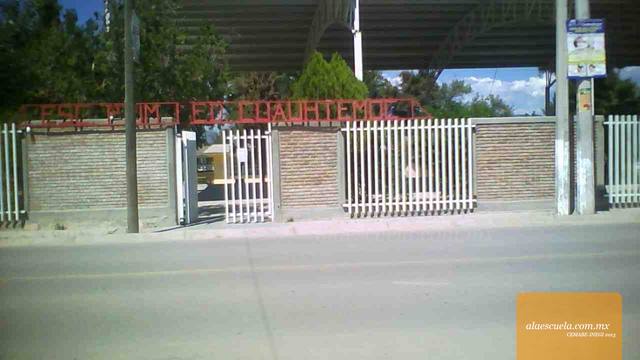 Entrada (vista previa)