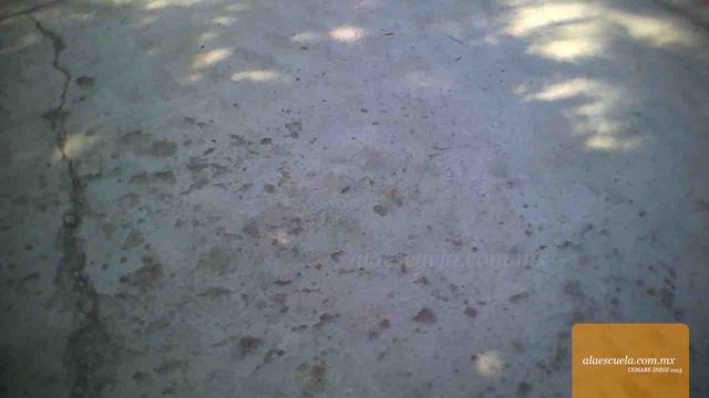 Áreas (vista previa)