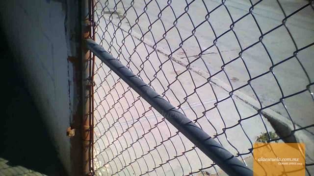 Entrada (vista previa)