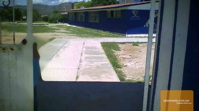 Entrada (vista previa)