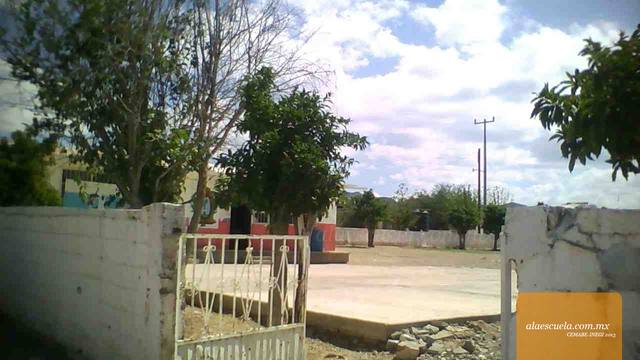 Entrada (vista previa)