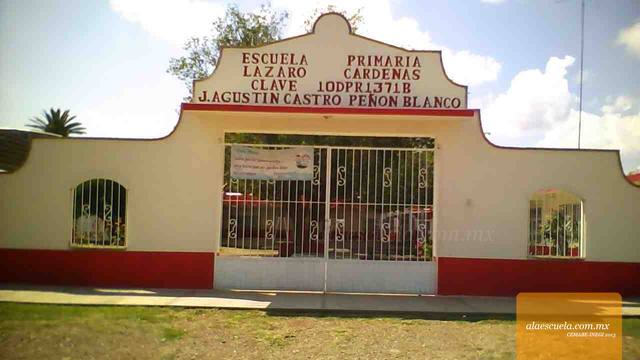 Entrada (vista previa)