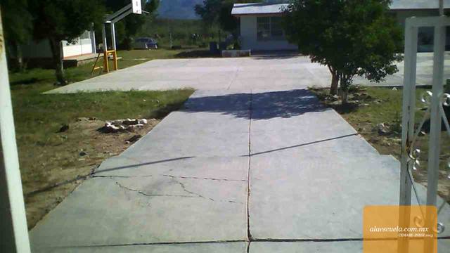 Entrada (vista previa)