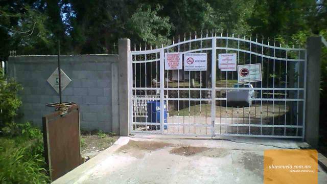 Entrada (vista previa)