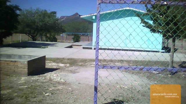 Entrada (vista previa)