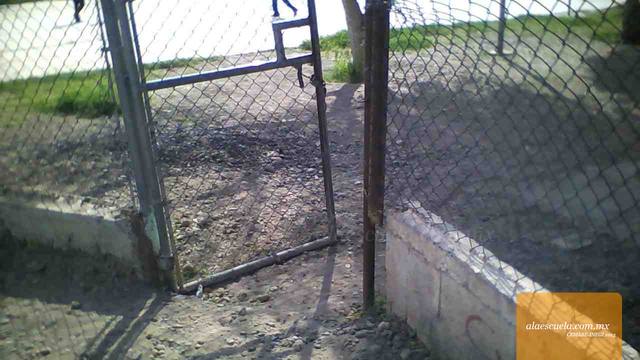 Entrada (vista previa)