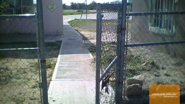 Entrada (vista previa)