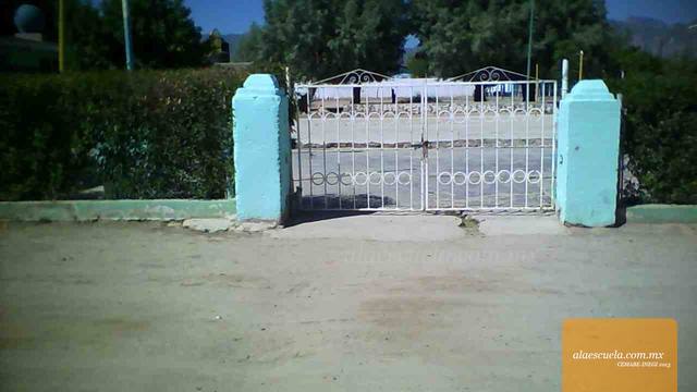 Entrada (vista previa)