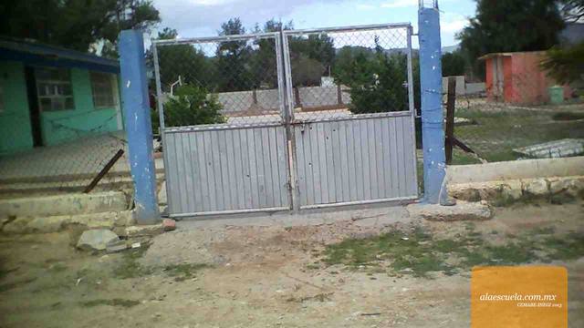 Entrada (vista previa)