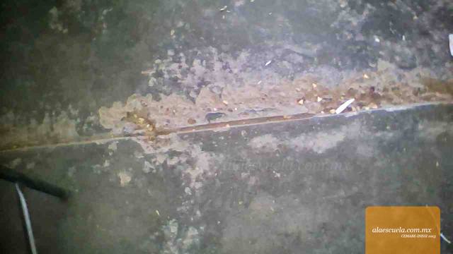 Aulas (vista previa)