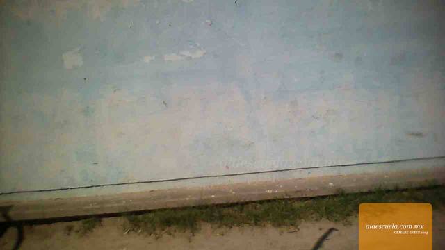 Entrada (vista previa)