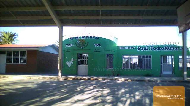 Entrada (vista previa)