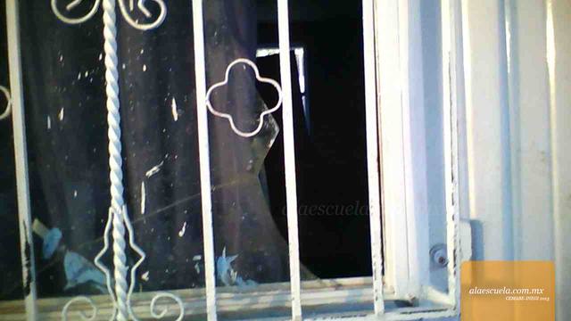 Aulas (vista previa)