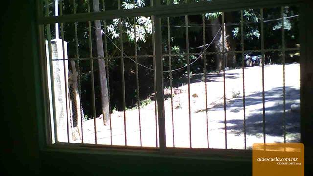 Aulas (vista previa)