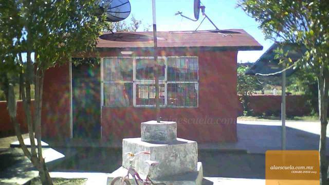 Entrada (vista previa)