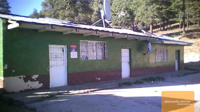 Entrada (vista previa)