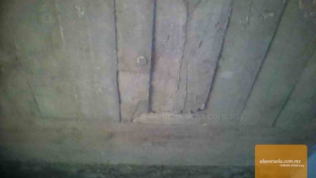 Aulas (vista previa)