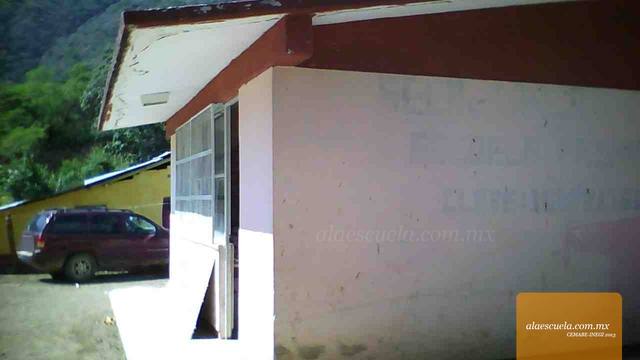 Entrada (vista previa)