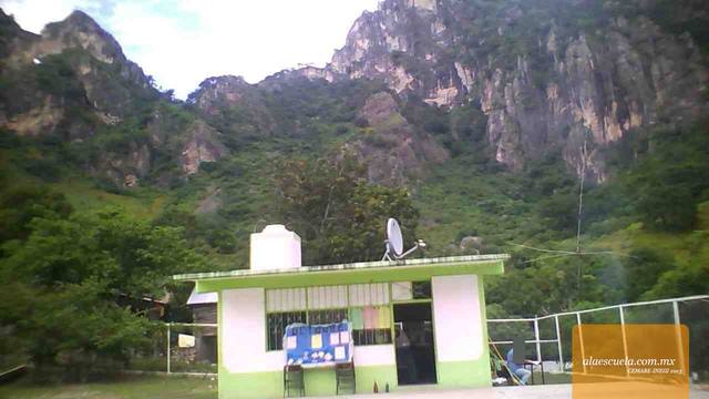 Entrada (vista previa)