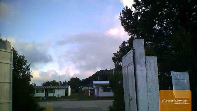 Entrada (vista previa)