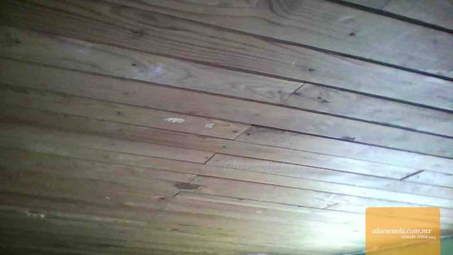 Aulas (vista previa)