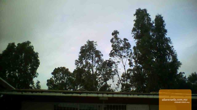 Aulas (vista previa)