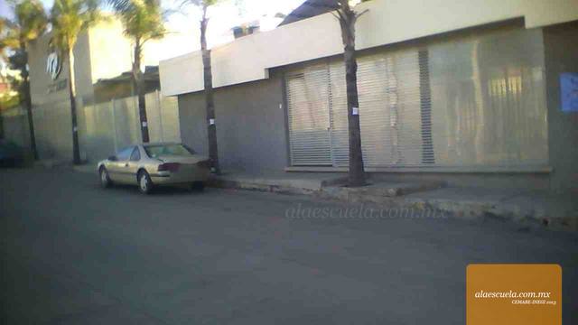 Entrada (vista previa)