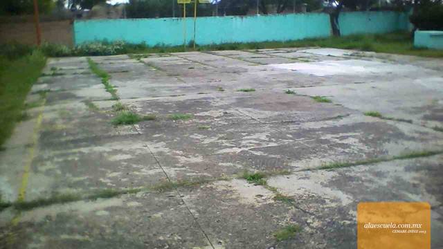 Entrada (vista previa)