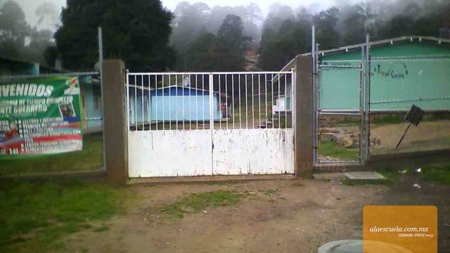 Entrada (vista previa)