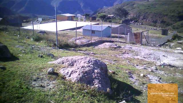 Entrada (vista previa)