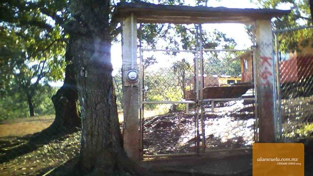 Entrada (vista previa)