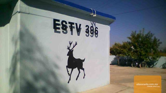 Entrada (vista previa)