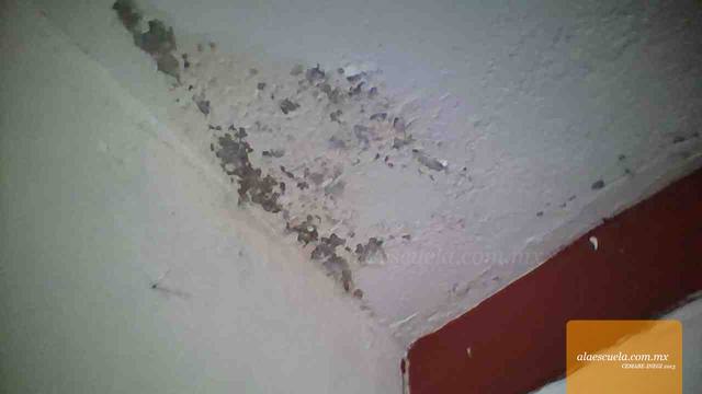 Aulas (vista previa)