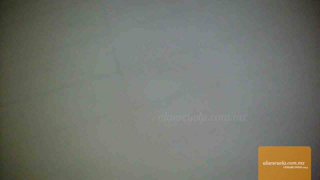 Entrada (vista previa)