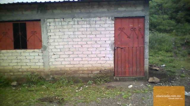 Entrada (vista previa)