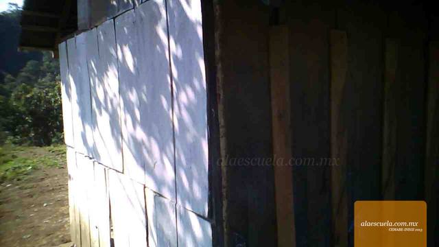 Entrada (vista previa)