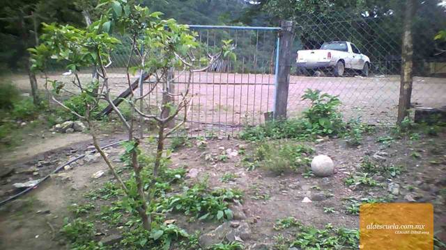 Entrada (vista previa)