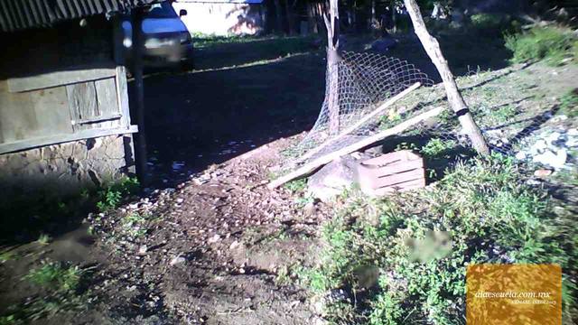 Entrada (vista previa)