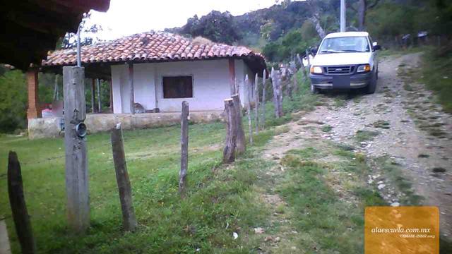 Entrada (vista previa)