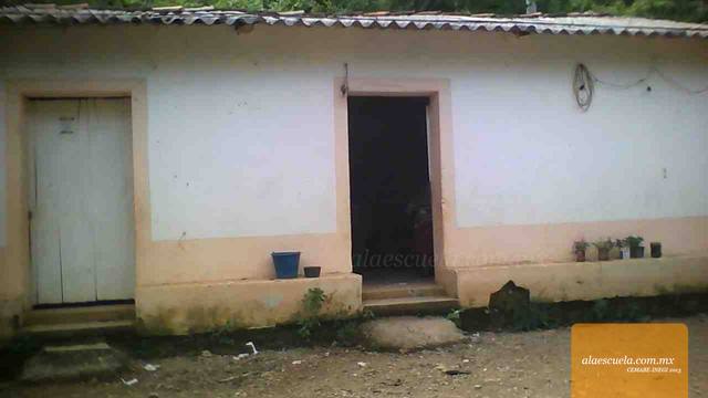 Entrada (vista previa)